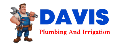 Trusted plumber in FUNK